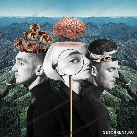 Clean Bandit - What Is Love? (2018)