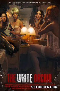 Белая орхидея (2018)